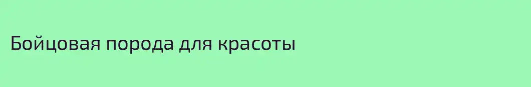 Бойцовая порода для красоты